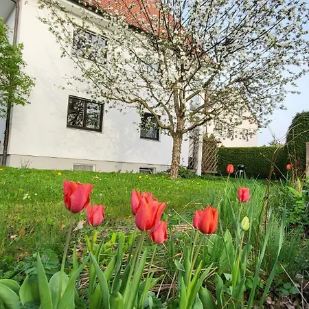 Allgaeu Retreat Διαμέρισμα *
